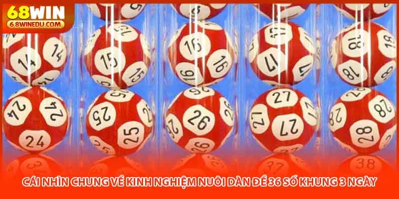 Chiến lược tối ưu vốn nuôi đề